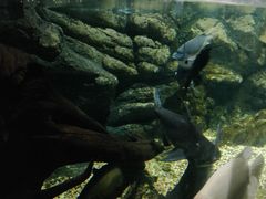 -江和美海洋公园