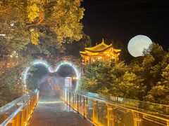 -巴倒烫陆派重庆火锅(南山店)