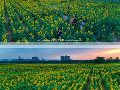 -汉长安城未央宫国家考古遗址公园