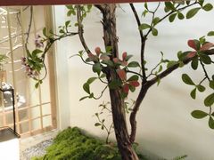 -豫满楼(正光路店)