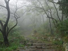 -阳台山自然风景区