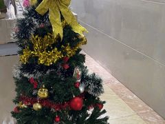 -茂菊口腔连锁(浦东南路店)