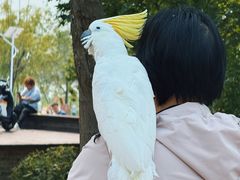 -绿堤公园