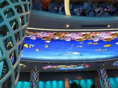 -瑞德姆美人鱼海底演艺主题餐厅(亚龙湾店)
