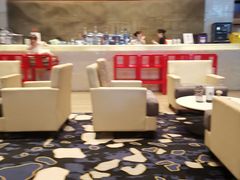 -苏州金鸡湖大酒店