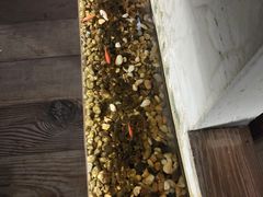 -邈墨茶馆(江南星座1店)