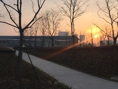 -前滩友城公园-停车场