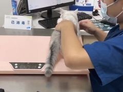 -爱诺耐芙动物医院(万博店)