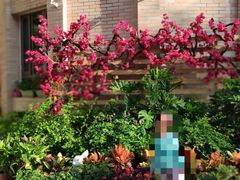 -国家林业和草原局幼儿园