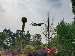 -空港花田景区