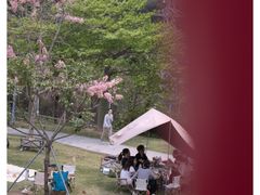 -白石龙音乐公园