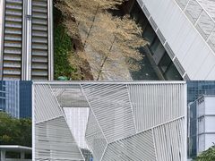 -宝安区体育中心体育馆