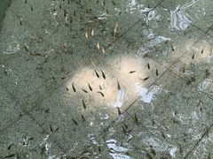 -碧水湾温泉