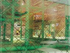 -C7城市运动空间·蹦床·健身·团建