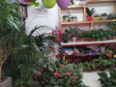 -翠庭园平价蔬果超市(翠庭园店)