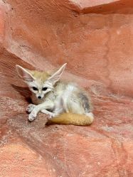 -Zoolung Zoolung动物主题公园(海信广场店)