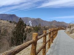 -白水寺森林公园