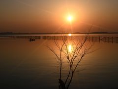 -漕湖湿地公园
