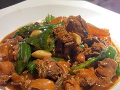 -鲁菜根·泰安菜(万达店)