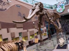 -陕西自然博物馆