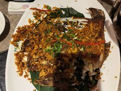 -美奈小馆·东南亚菜(福田星河COCO Park店)