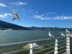 -海埂大坝