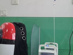-利又安动物医院··老年病·猫科犬科·中兽医
