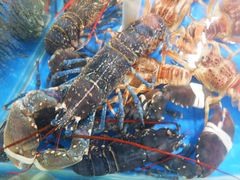 -盒马鲜生(杭州运河上街店)