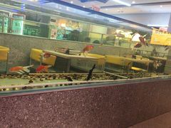 -令狐冲烤鱼·烧菜馆(达明店)