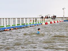 -碧海金沙