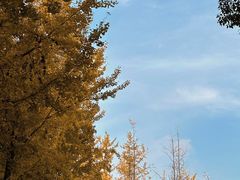 -重庆中央公园(渝北区)