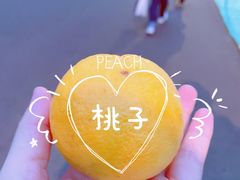 -东湖磨山景区