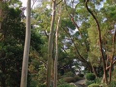 -罗三妹山