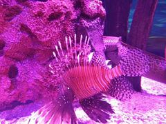 -沈阳海洋探索中心