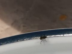 -川悦壹号·川菜(蠡溪路店)