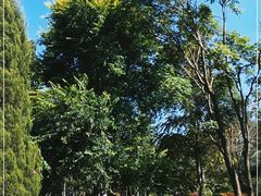 -长春公园(普阳街道)