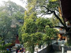 -普陀山风景名胜区-法雨禅寺