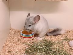 -龙猫仔乐园(惠福东路店)