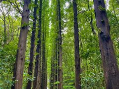 -同里国家湿地公园