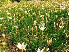 -白塘生态植物园