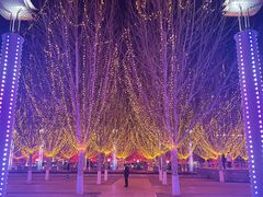 -杨柳青古镇