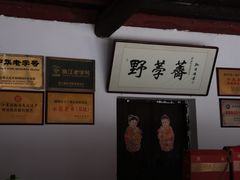 -野荸荠