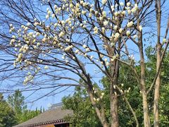 -范蠡湖公园