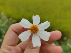 -艾米稻香小镇