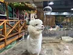 -上海大自然野生昆虫馆(东方明珠·爬宠昆虫探索中心)