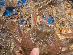 -阿明小菜·海鲜·上海菜(梅陇店)