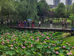 -沐仙湖湿地公园