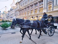 -斯蒂芬主教座堂(Stephansdom)
