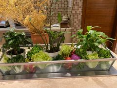 -River Café 海鲜自助(重庆丽笙世嘉酒店)