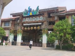 -南宫五洲植物乐园